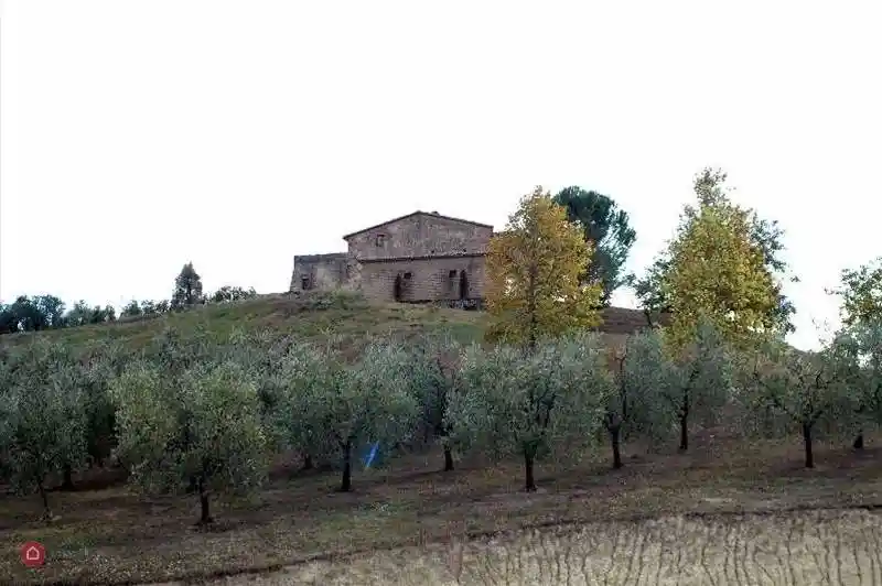 Rustico - Casale in vendita a Fabro