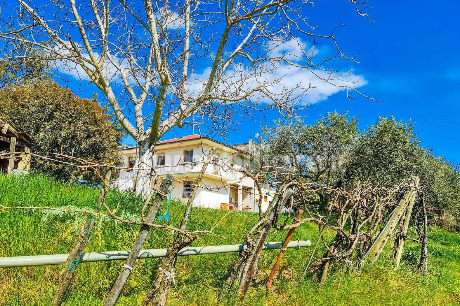 Casa indipendente in vendita a Monterubbiano