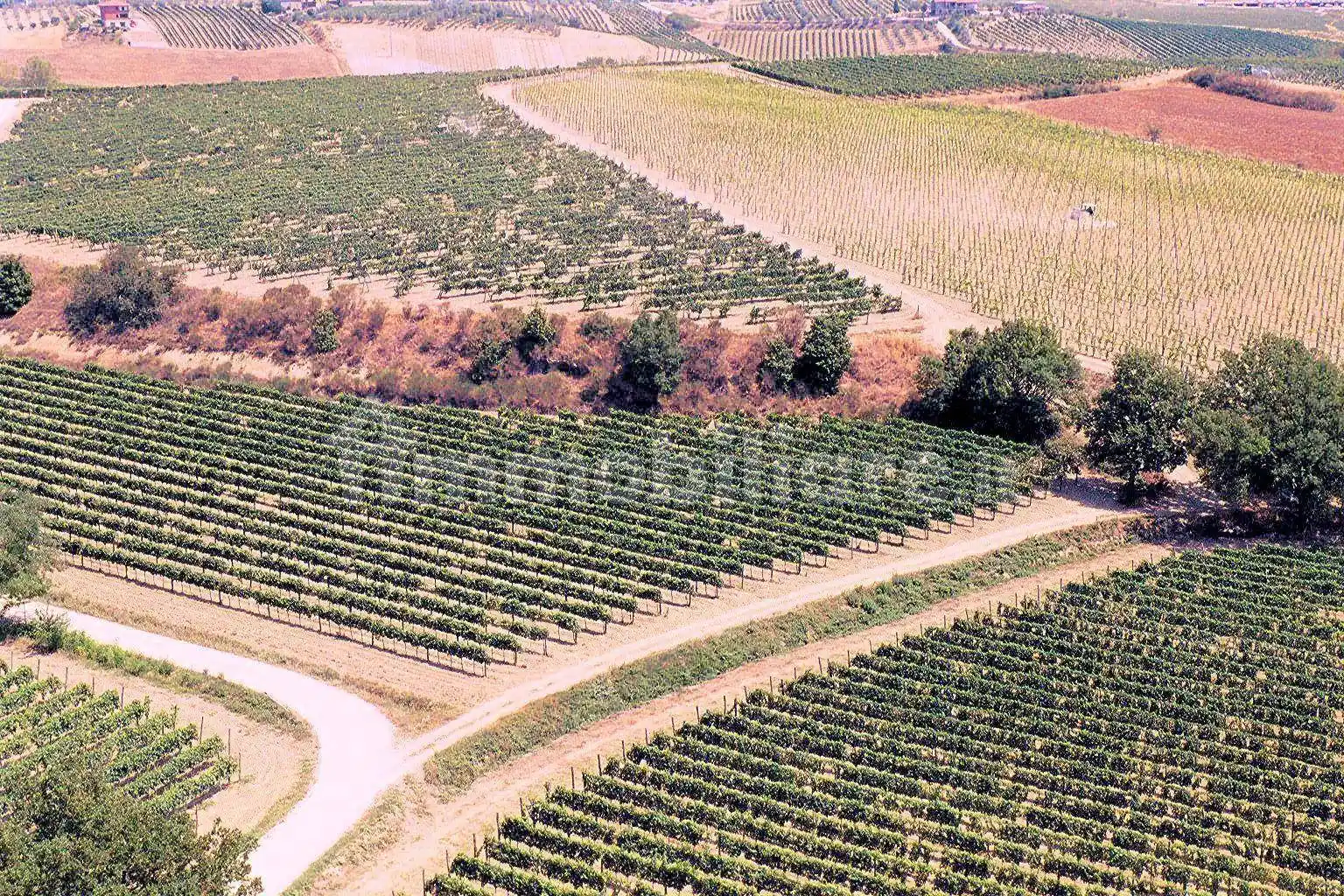 Rustico - Casale in vendita a Montepulciano