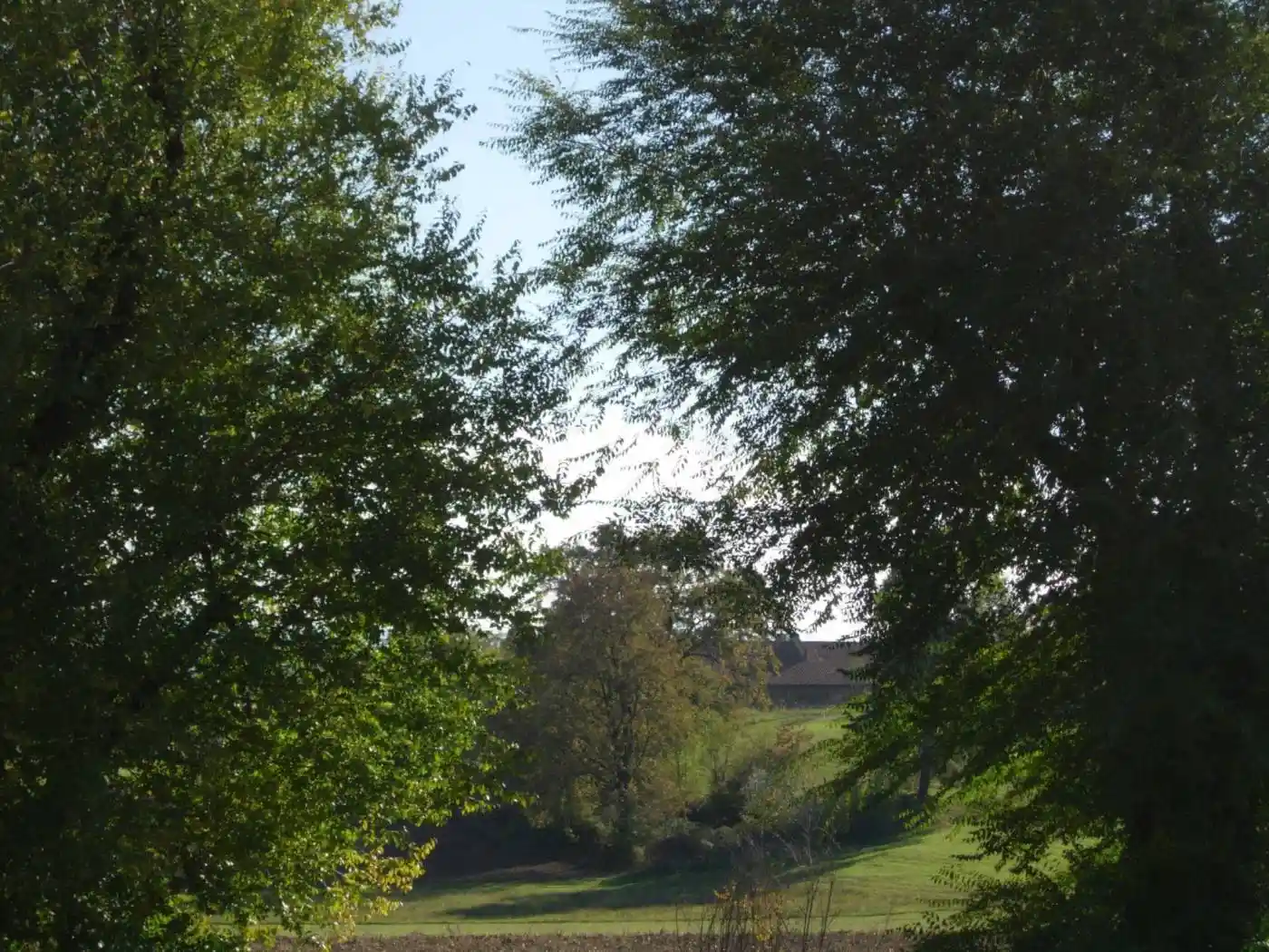 Appartamento nuovo, su più livelli, Semicentro, Chieri - foto 3