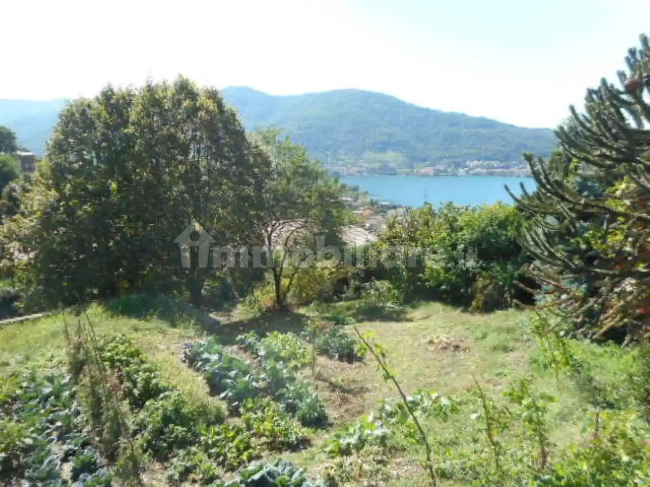 Rustico - Casale in vendita a Vercurago