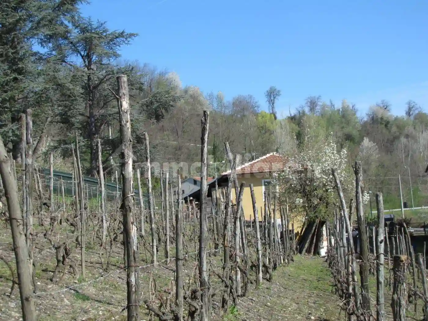 Rustico - Casale - foto 5