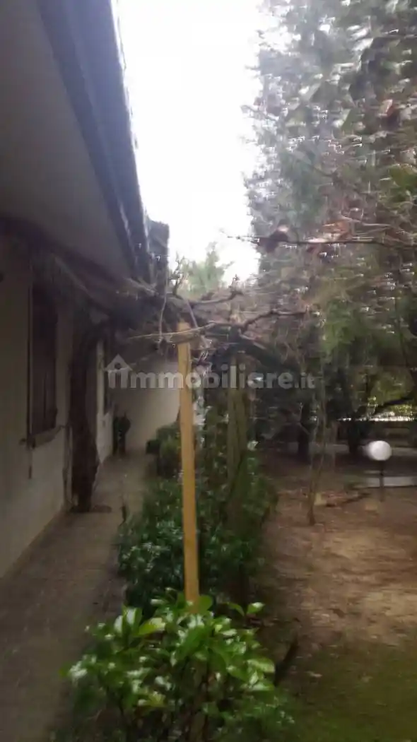 Casa indipendente in vendita a Trebaseleghe