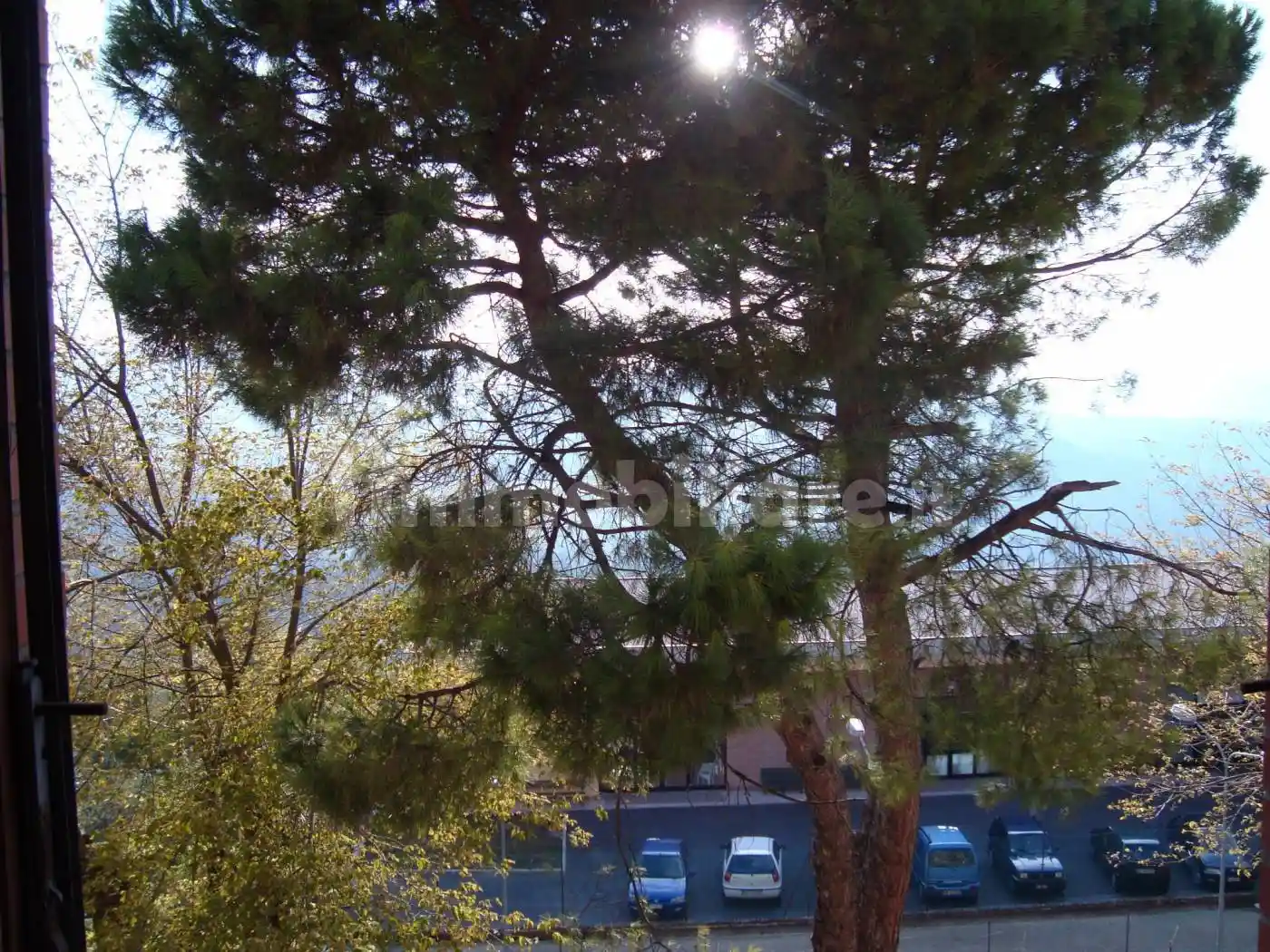 Appartamento in vendita a Cupramontana