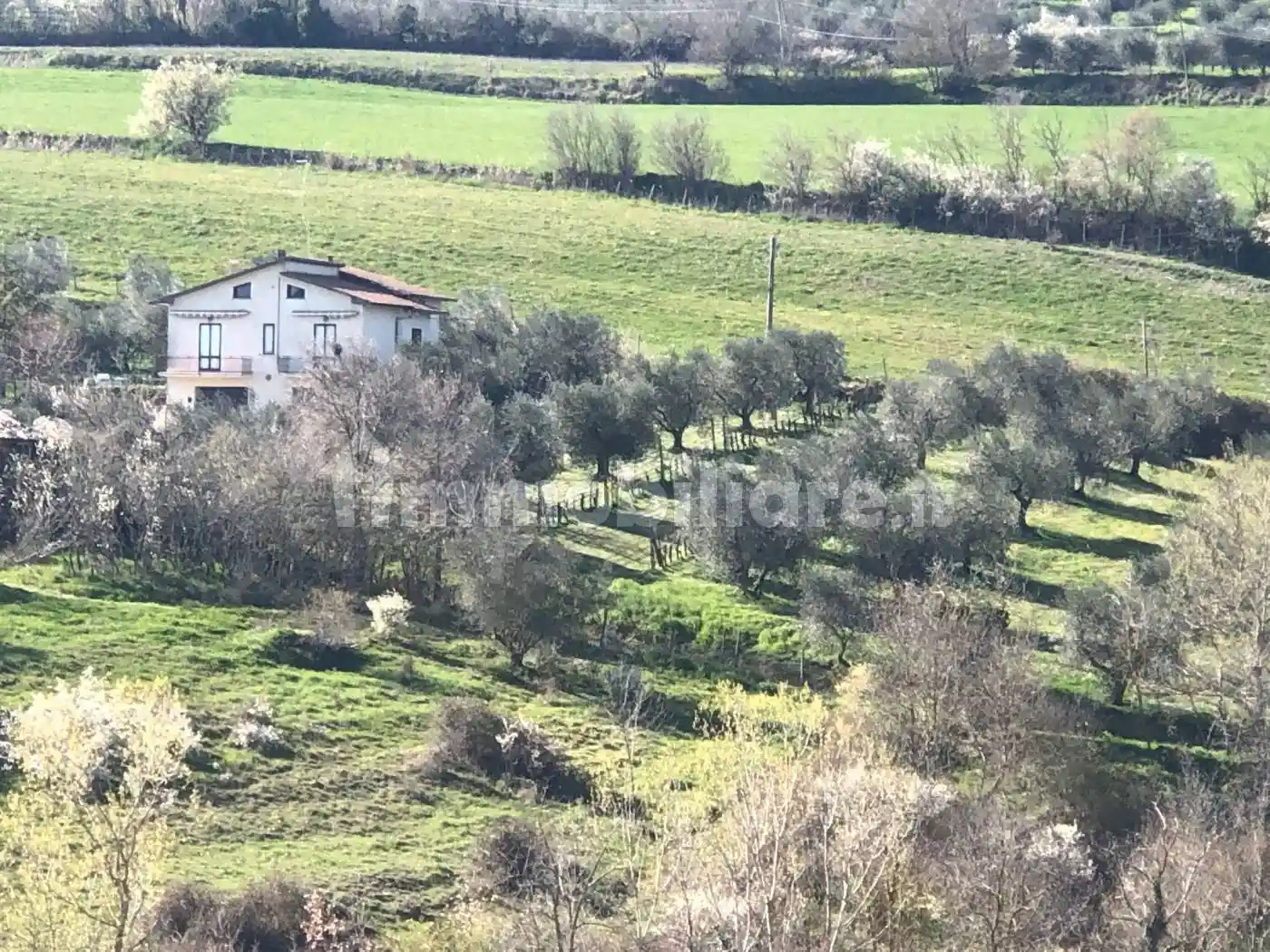 Rustico - Casale in vendita a San Casciano dei Bagni