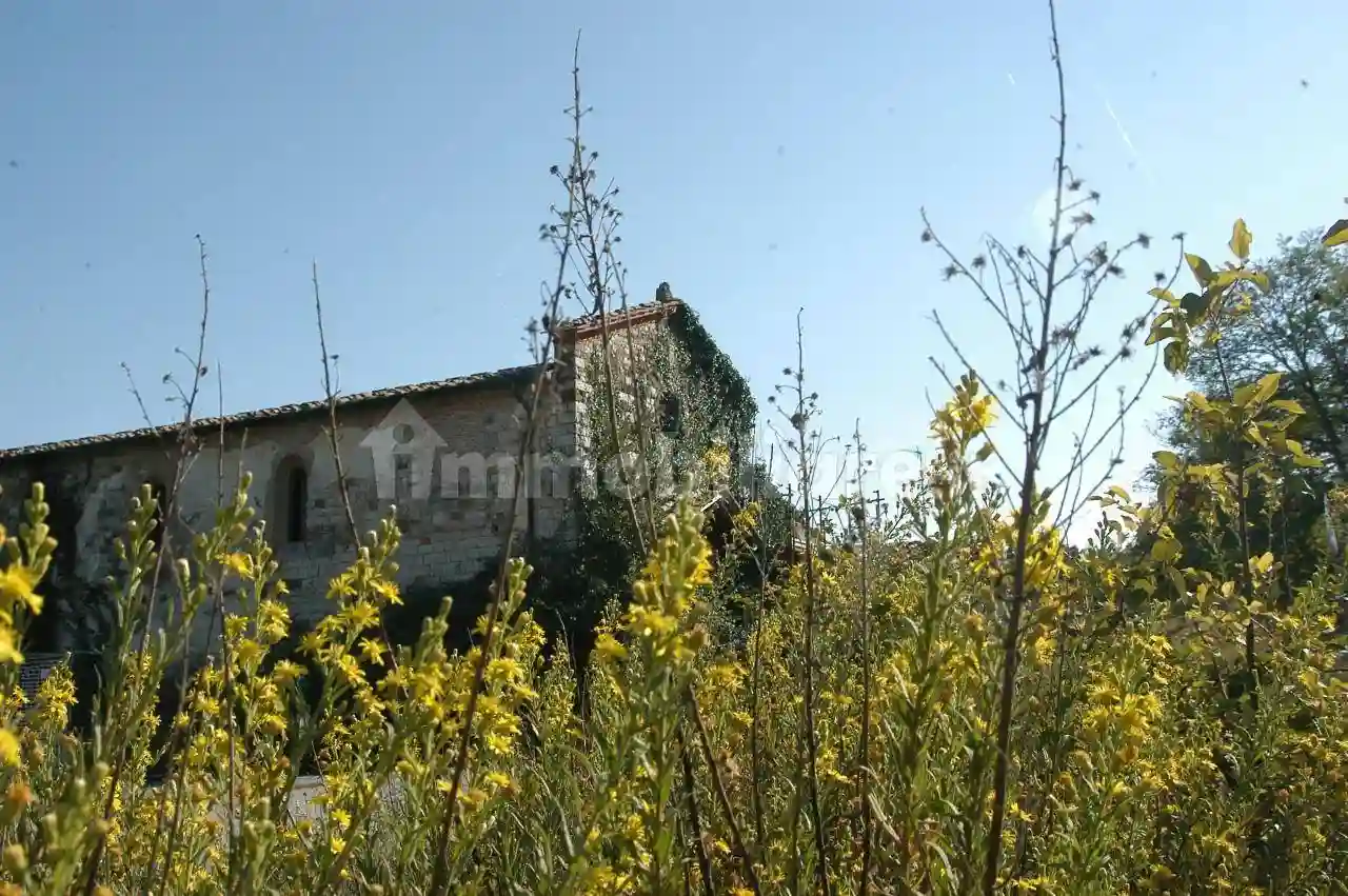 Palazzo - Edificio - foto 3