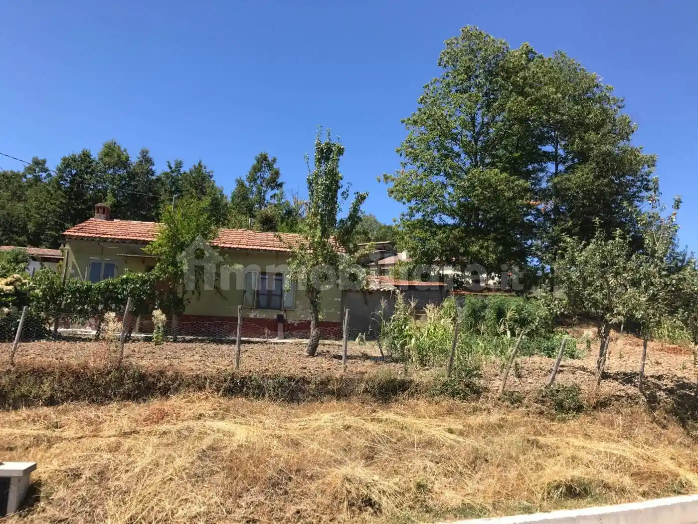 Rustico - Casale in vendita a Viggianello