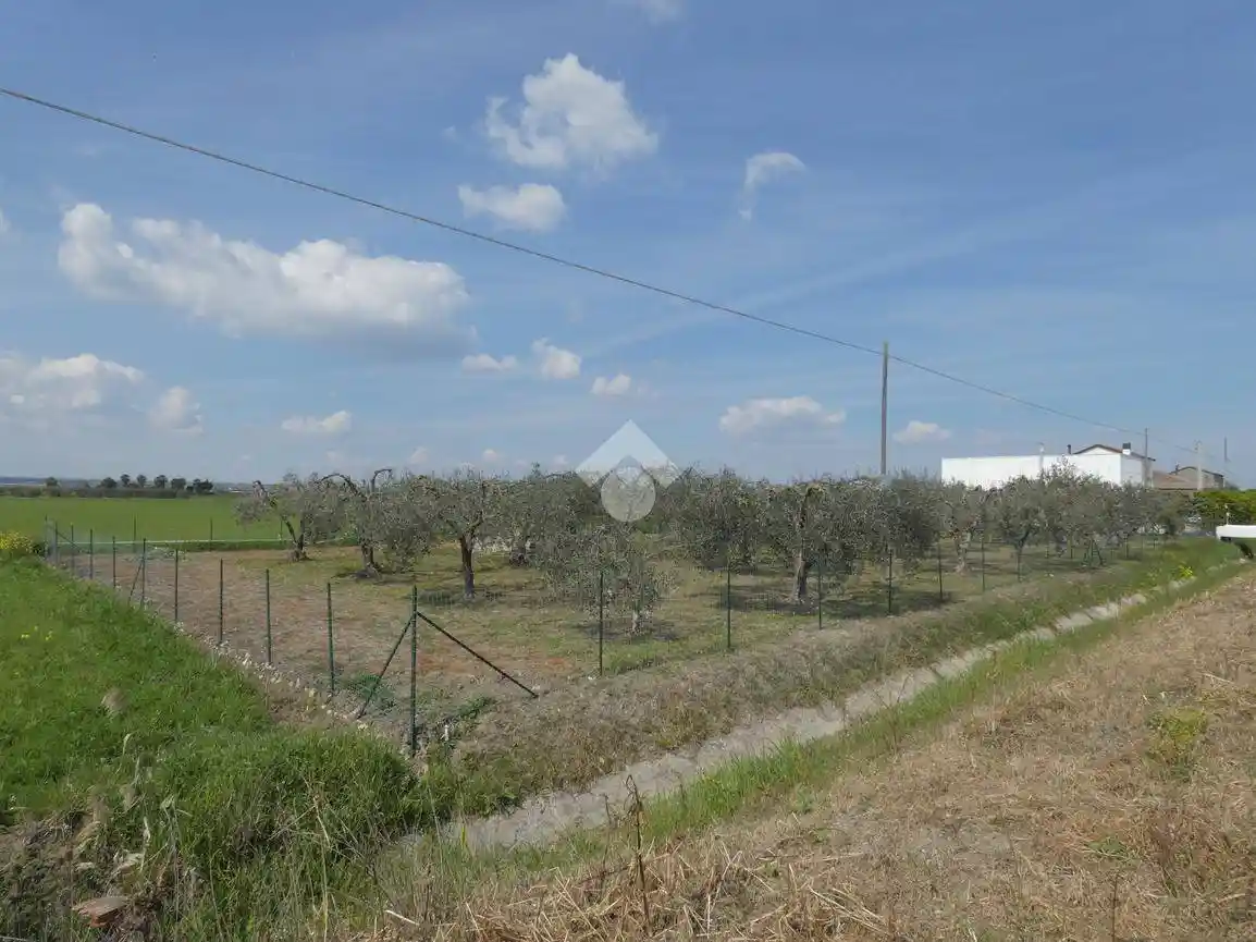 Villa unifamiliare via Marche 29, Scanzano Jonico - foto 3