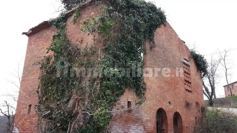 Rustico - Casale in vendita a Asciano