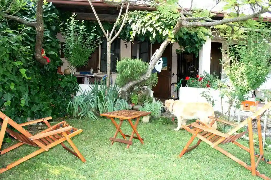 Villetta a schiera - foto 4