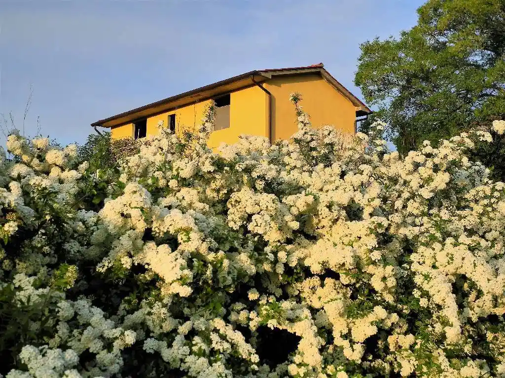 Casa indipendente in vendita a Arezzo