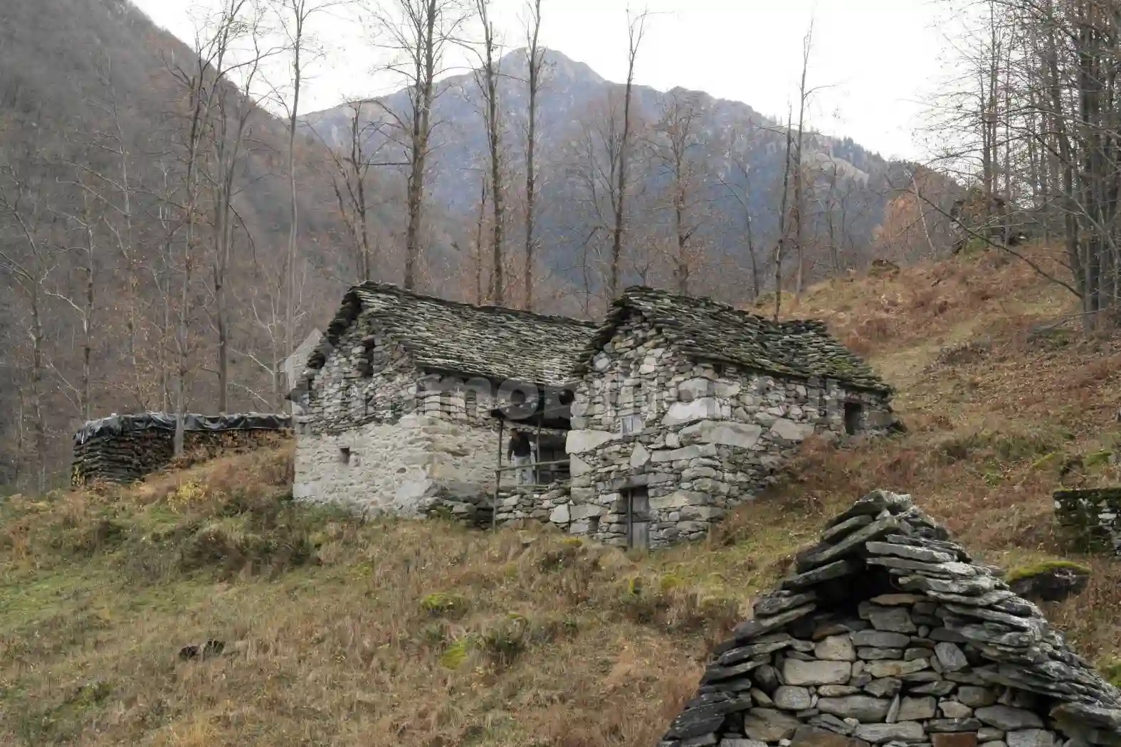 Rustico - Casale - foto 5