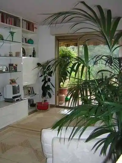 Appartamento in vendita a Vallebona