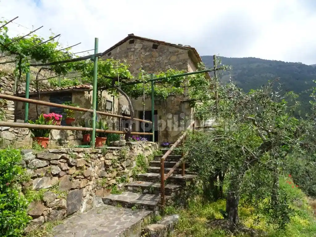 Rustico - Casale in vendita a Calci