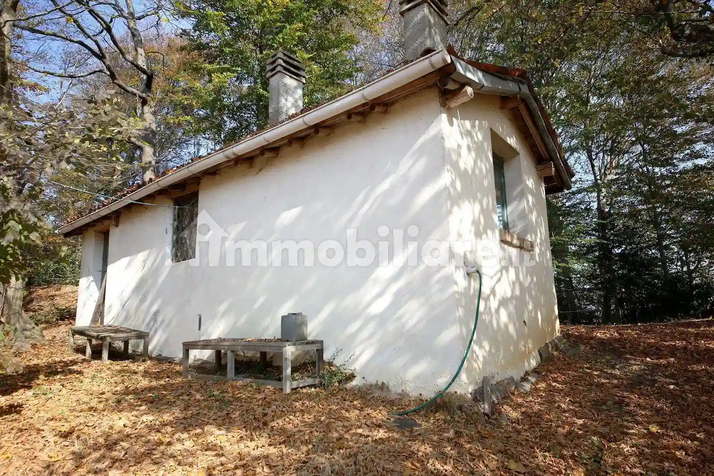 Rustico - Casale - foto 5
