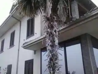 Villa in vendita a Borgo Vercelli