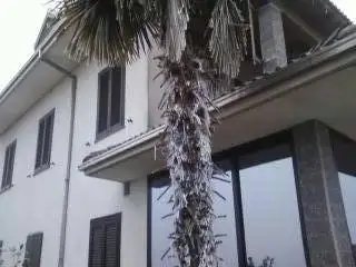 Villa in vendita a Borgo Vercelli