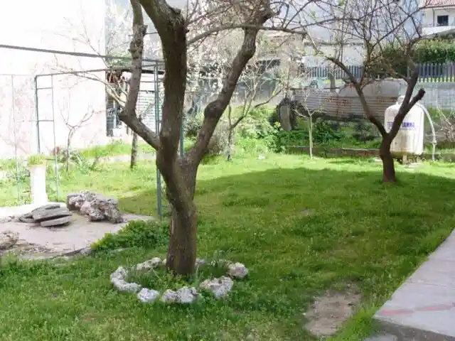 Villa unifamiliare via Nazionale 74b, Balsorano Nuovo, Balsorano - foto 5