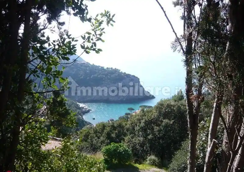 Casa indipendente in affitto a Monte Argentario