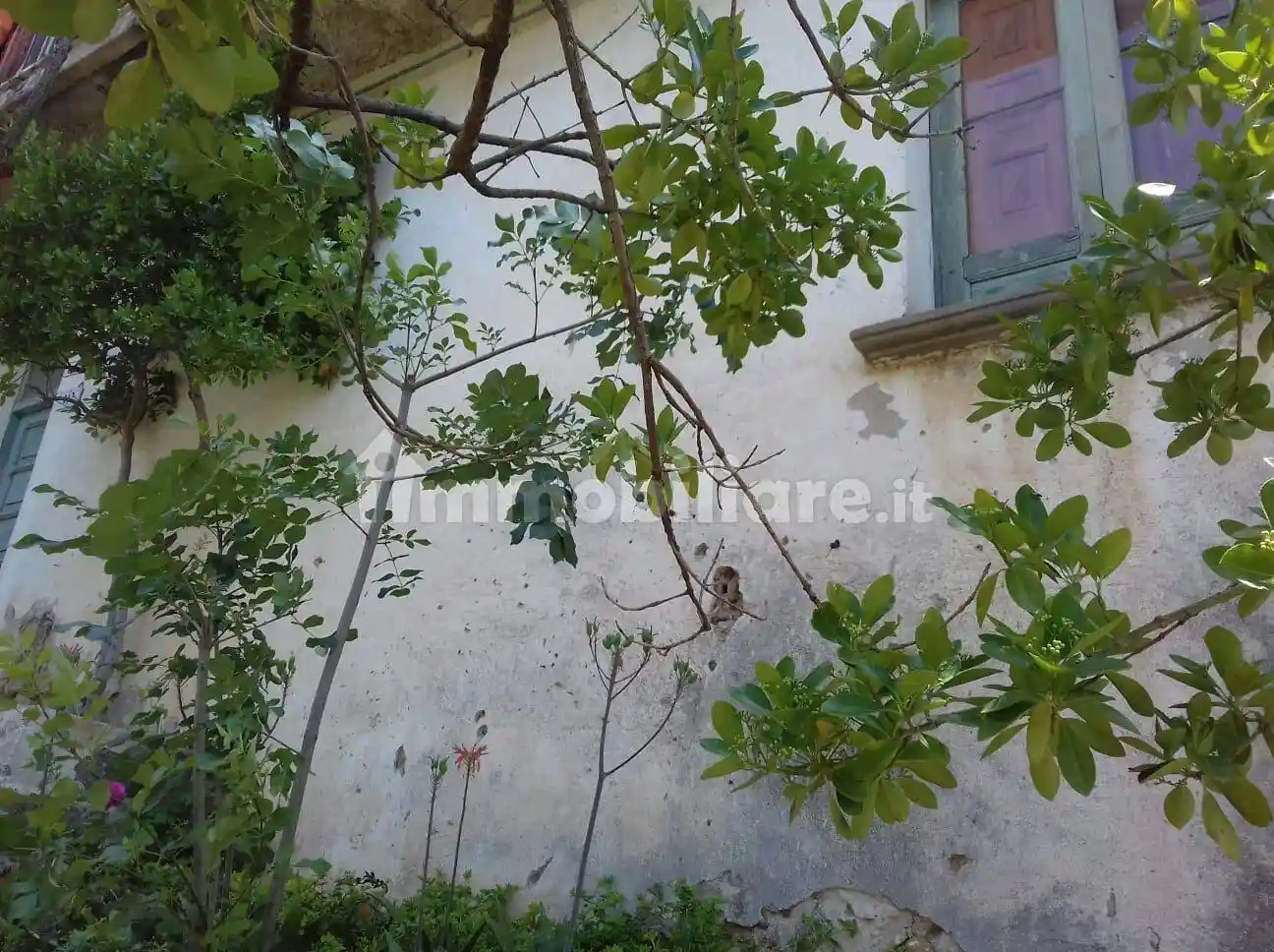 Palazzo - Edificio - foto 2