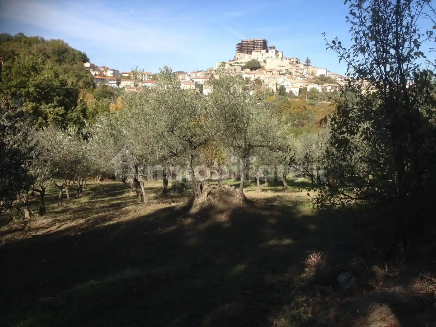 Casa indipendente in vendita a Carpineto Sinello