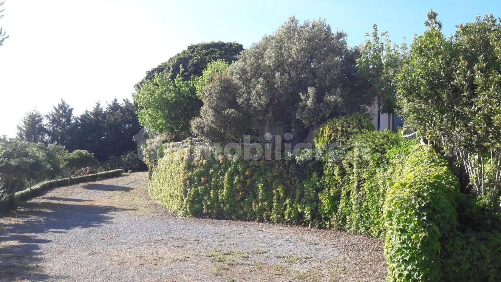 Appartamento in affitto a Diamante