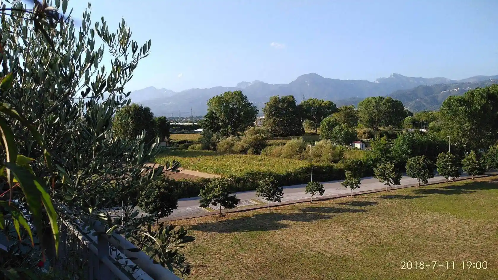 Appartamento in vendita a Viareggio