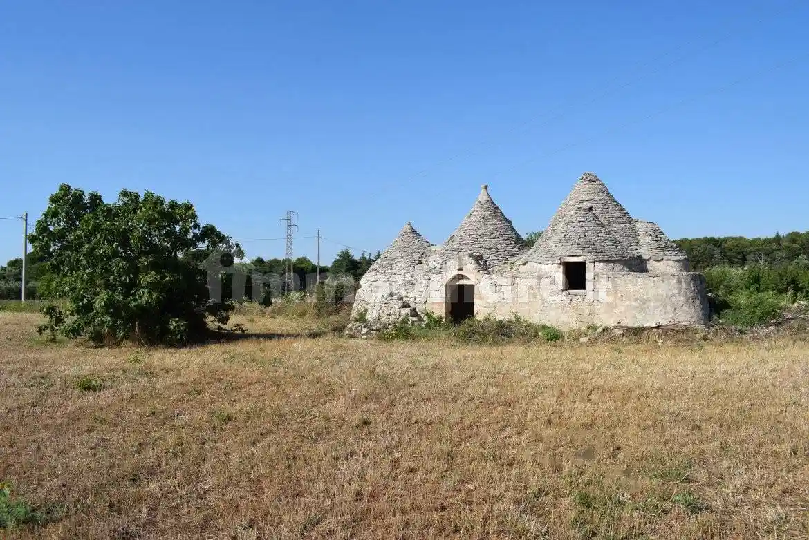 Rustico - Casale in vendita a Martina Franca