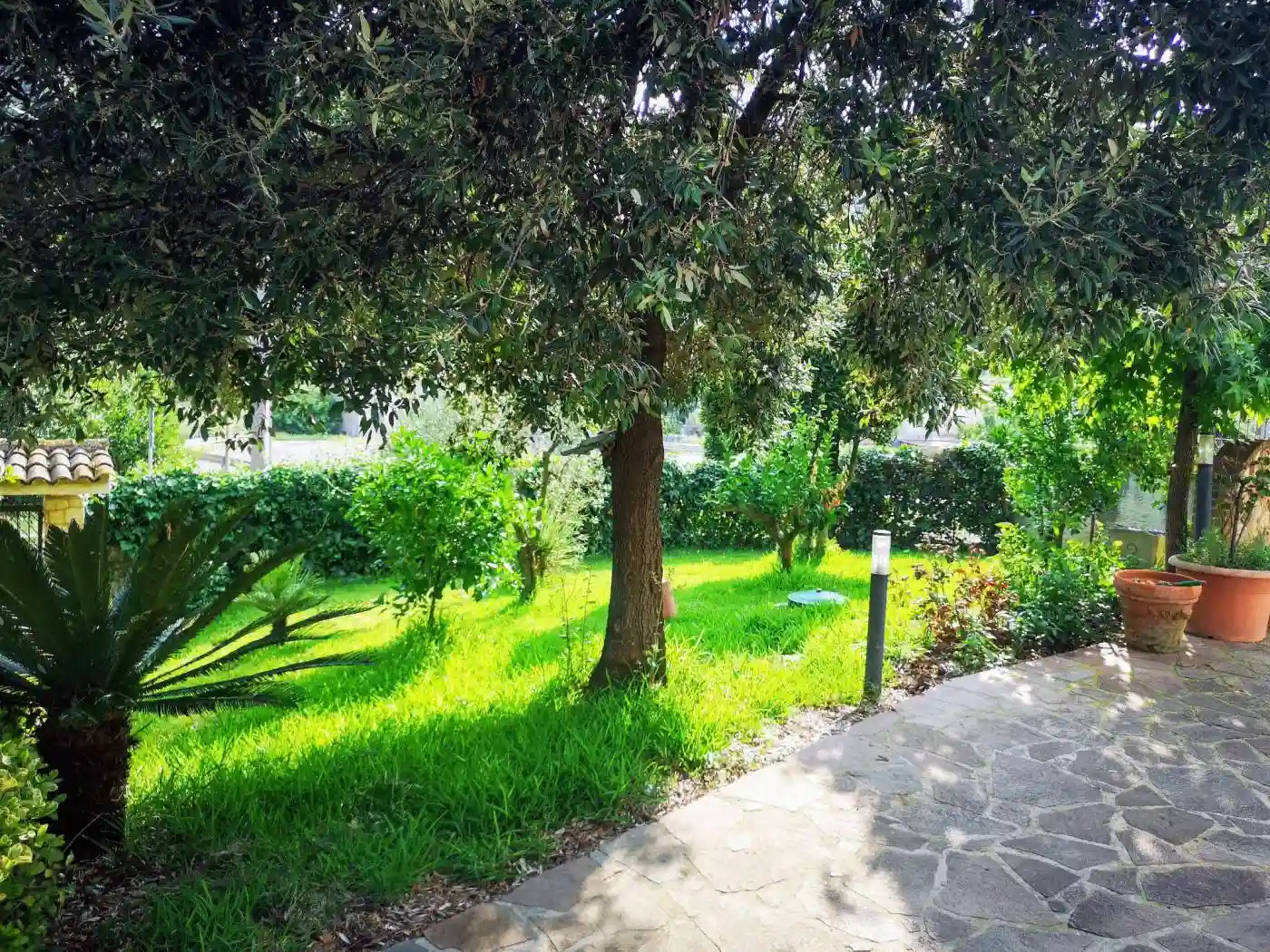 Palazzo - Edificio - foto 5