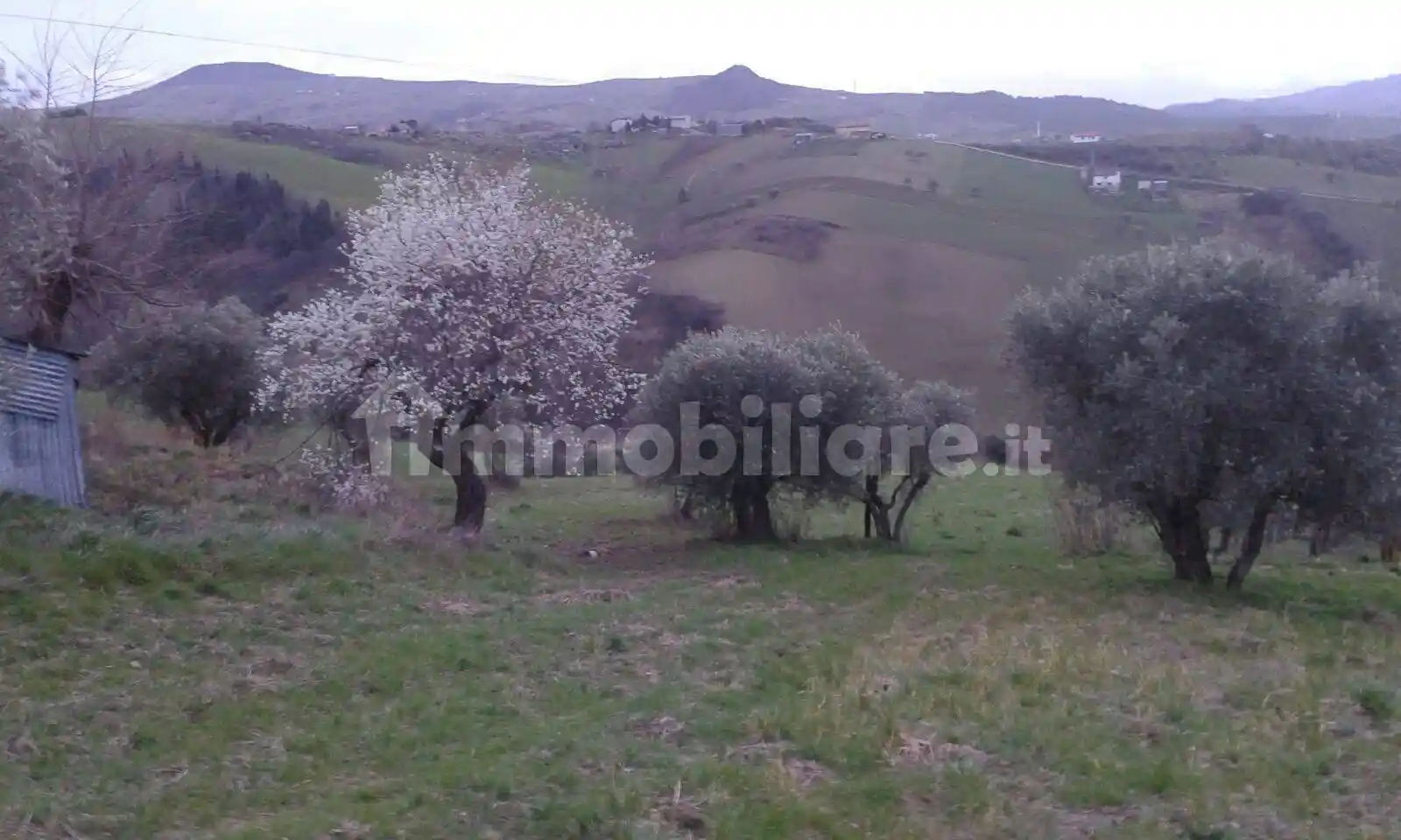 Rustico Contrada Piscone 31, Villanova del Battista - foto 3