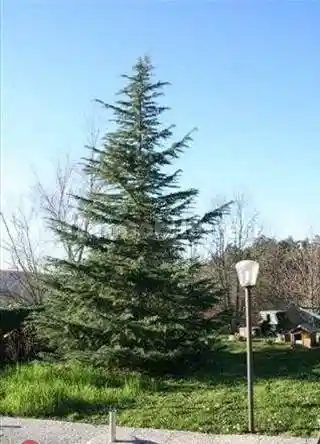 Rustico - Casale in vendita a Vaglia