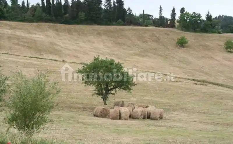 Palazzo - Edificio in vendita a Vaglia