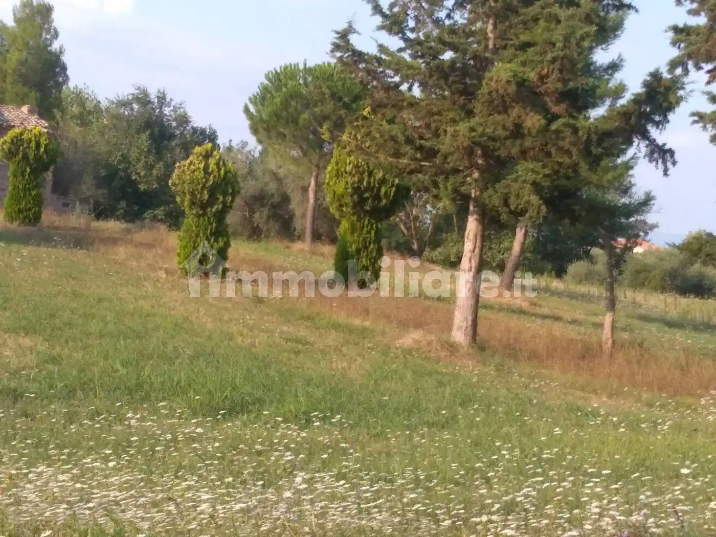 Casale, da ristrutturare, 13270 m², Corropoli - foto 2