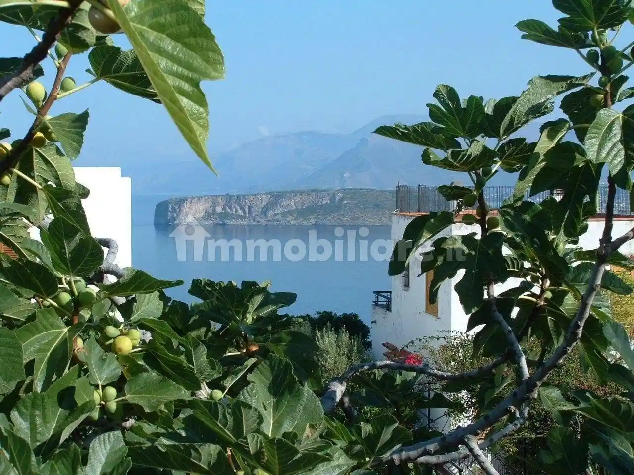 Villa bifamiliare Dino, San Nicola Arcella - foto 4
