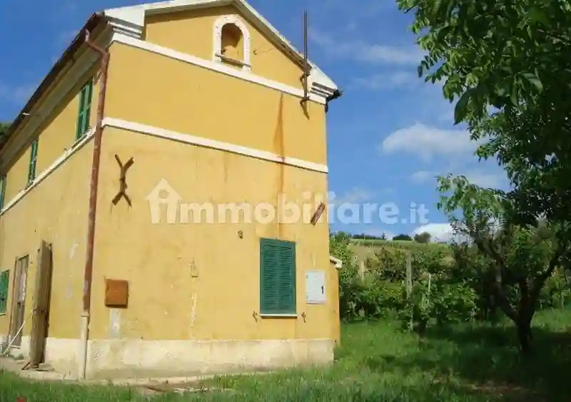 Rustico - Casale - foto 3