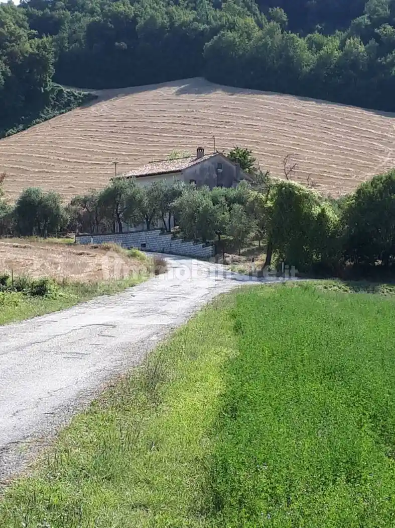Rustico - Casale in vendita a Isola del Piano