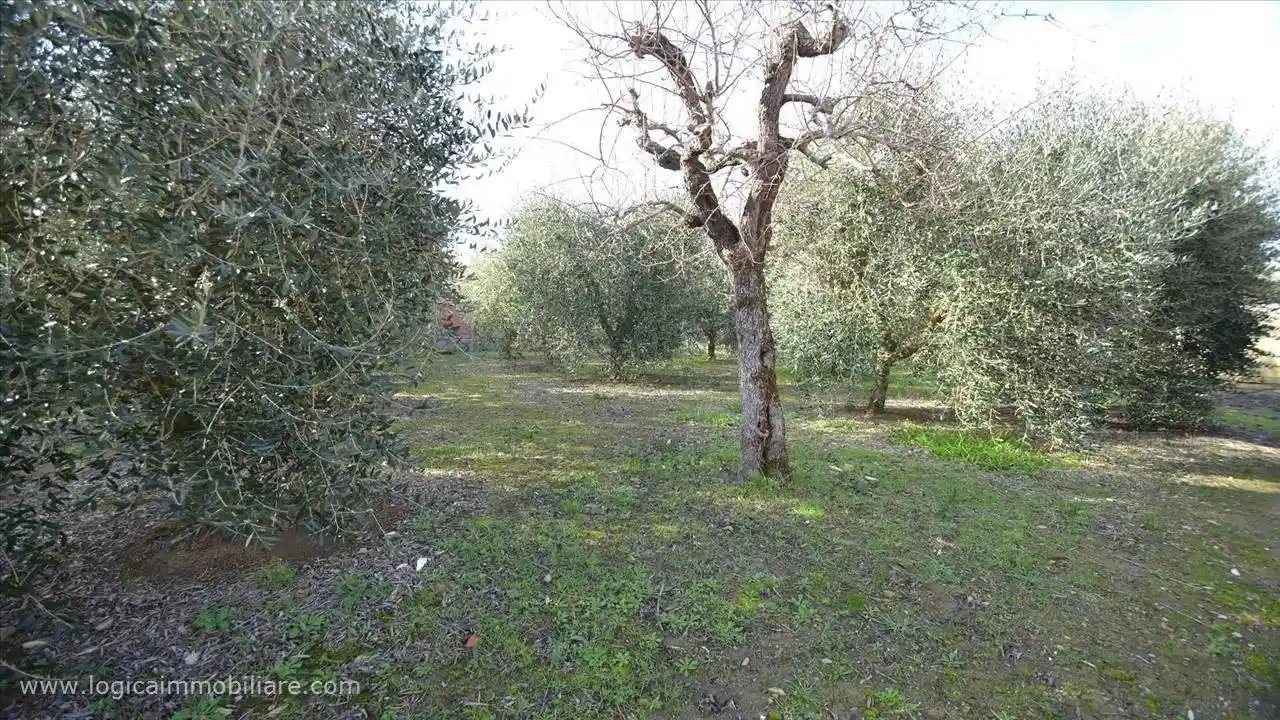 Terratetto unifamiliare via Vitellino, Vitellino, Castiglione del Lago - foto 2