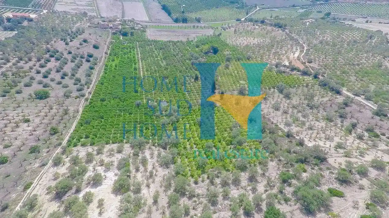 Rustico - Casale in vendita a Noto