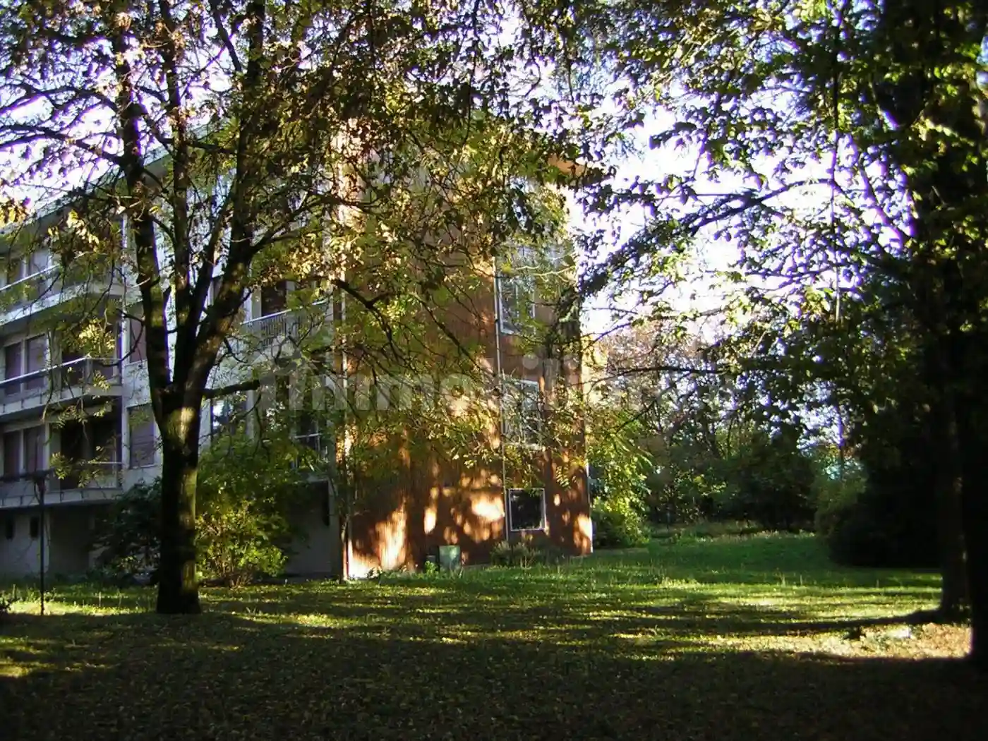 Palazzo - Edificio - foto 4