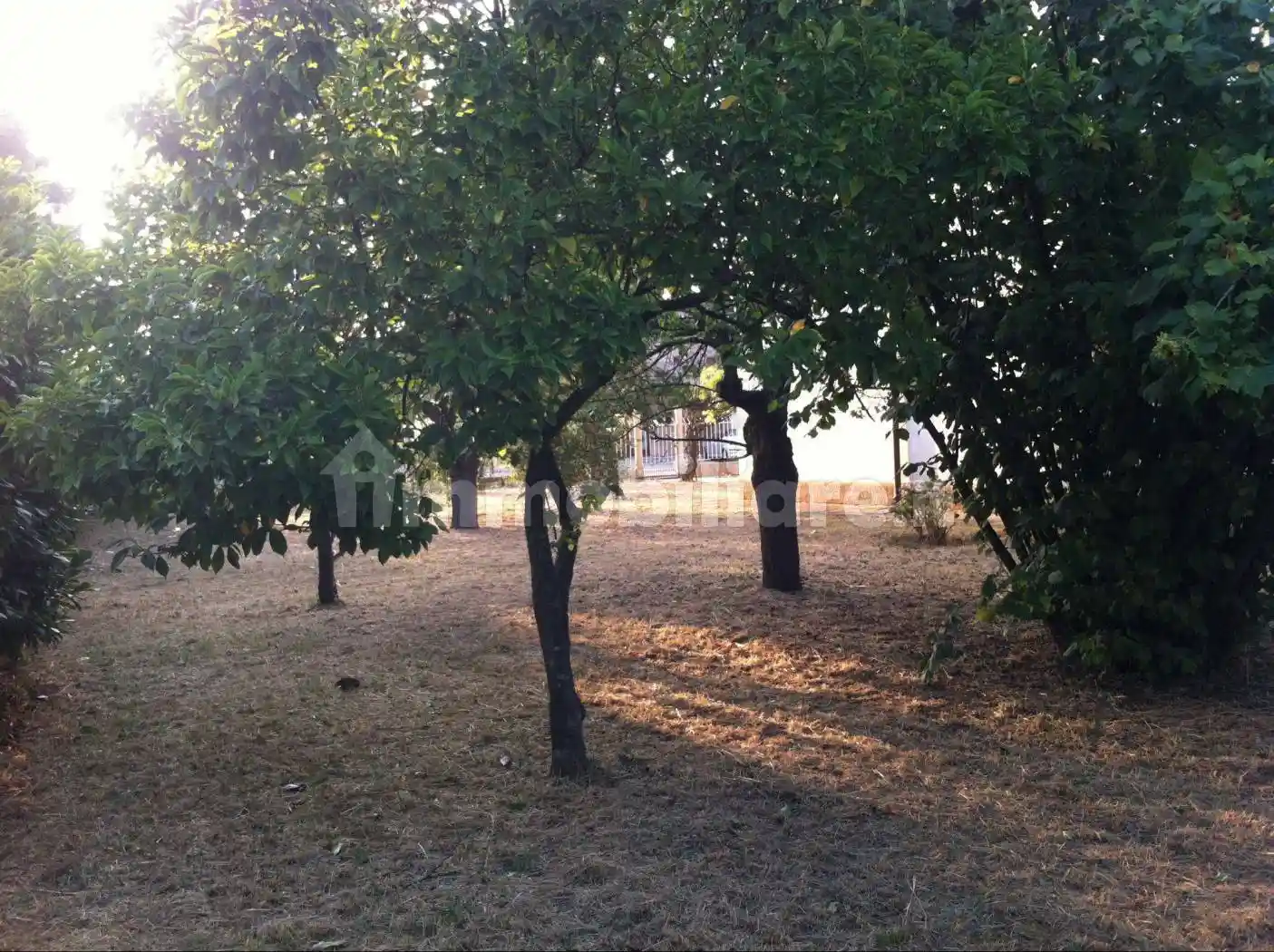 Villa unifamiliare via della Liberazione 45, Monticelli, Mesola - foto 5