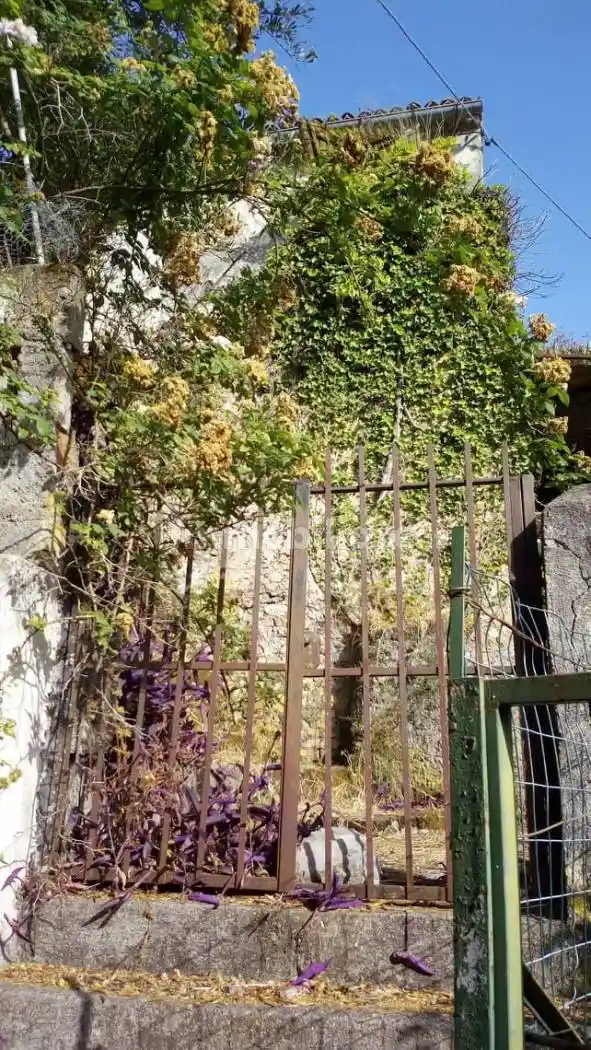 Rustico via Garottoli, Acquafredda, Maratea - foto 3