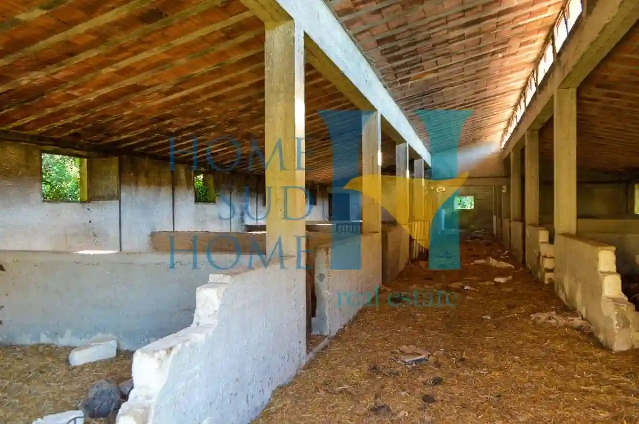 Rustico - Casale - foto 5