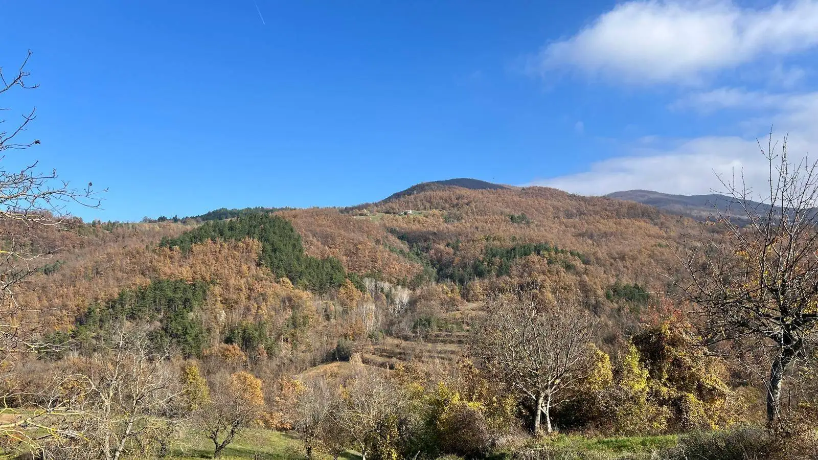 Casa indipendente in vendita a Santa Margherita di Staffora