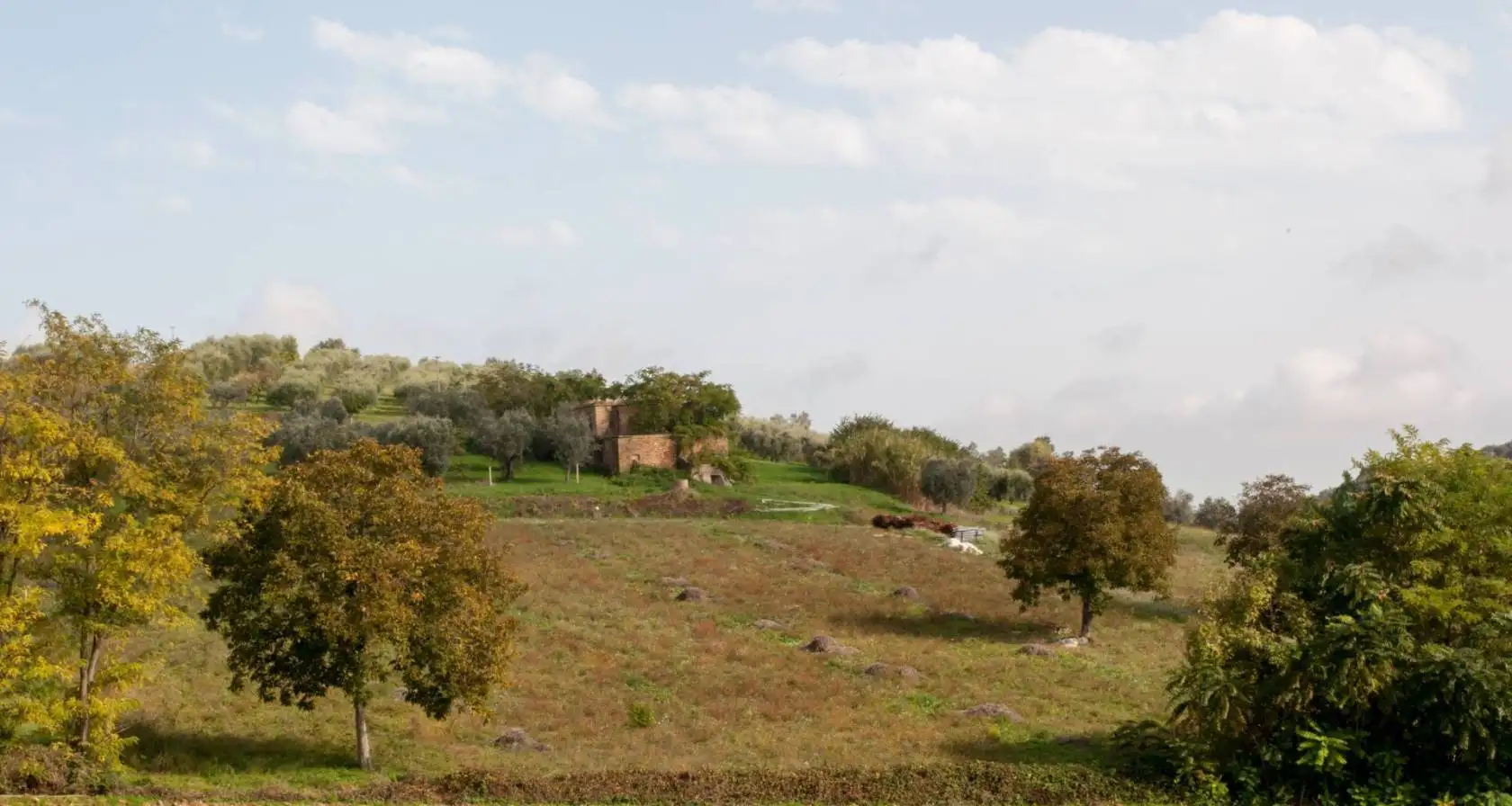 Rustico - Casale in vendita a Controguerra