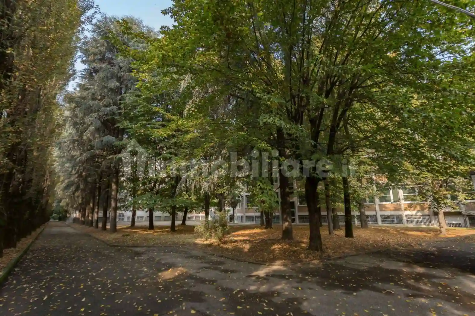 Palazzo - Edificio - foto 3