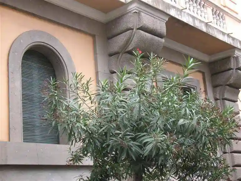 Palazzo - Edificio - foto 5