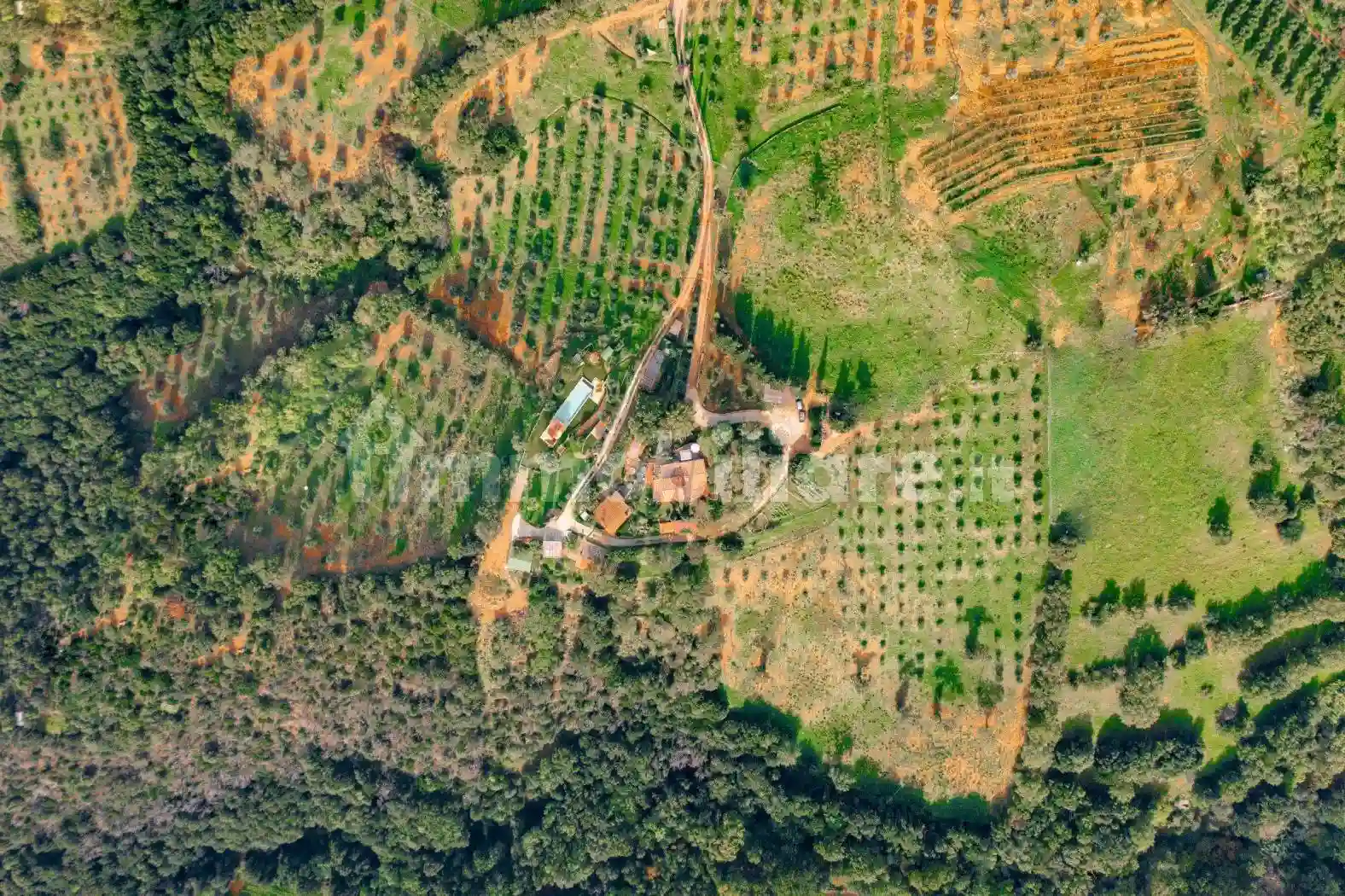 Rustico - Casale - foto 5
