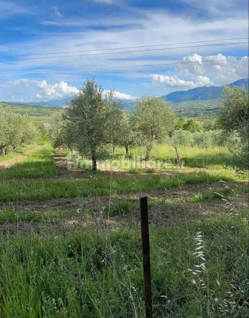 Casa colonica Contrada San Guglielmo snc, Sant'Angelo dei Lombardi - foto 4