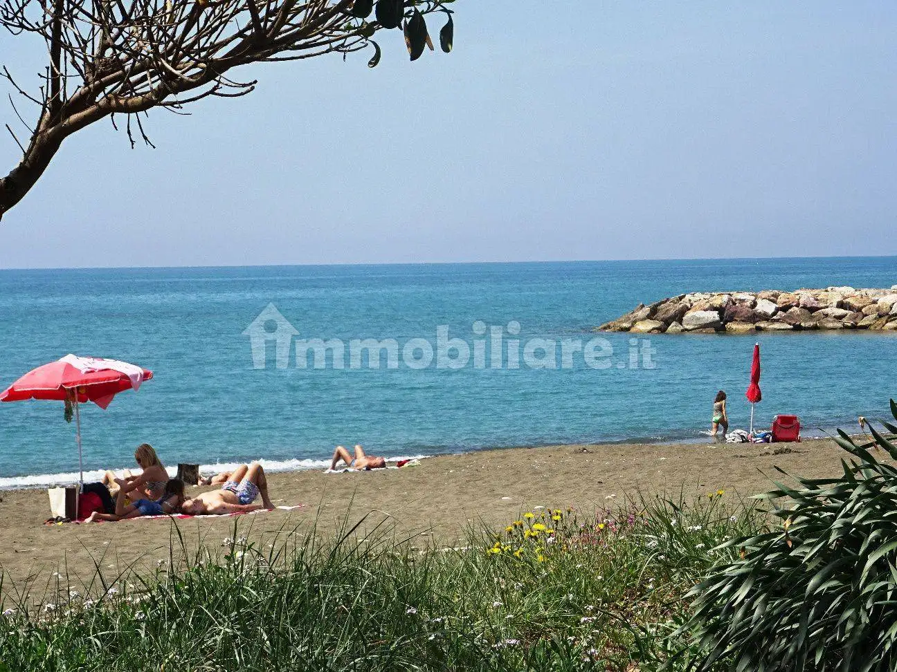 Appartamento in affitto a Cecina