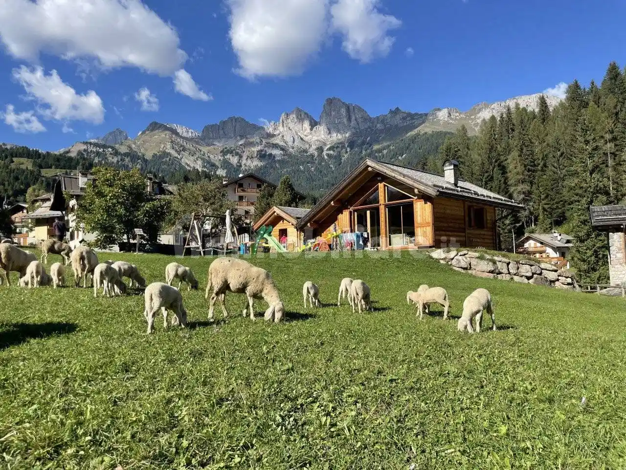 Terratetto unifamiliare via Pineta, Caviola, Falcade - foto 4
